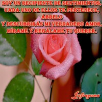 /album/fotogaleria/soy-un1-jpg/